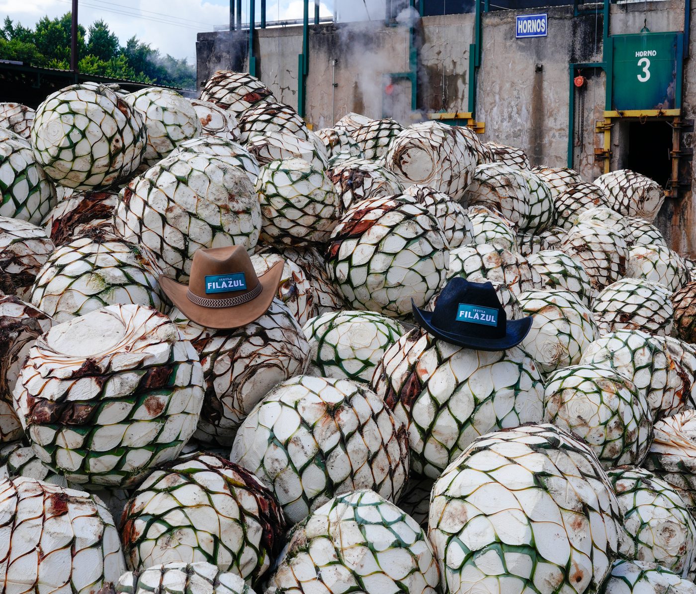 Two FILAZUL hats resting on freshly harvested agave piñas outside the steaming hornos at NOM 1414